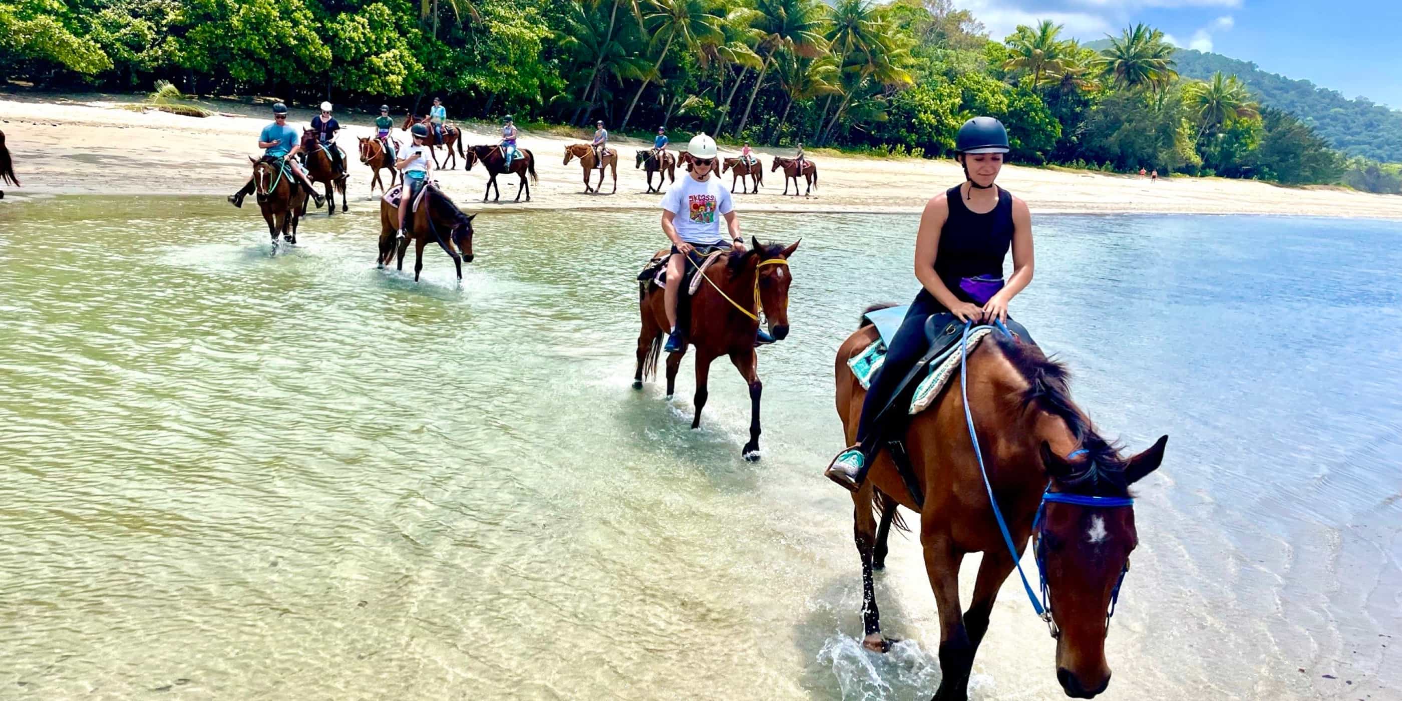 Unique Daintree Horse riding tours! Best Daintree experience.